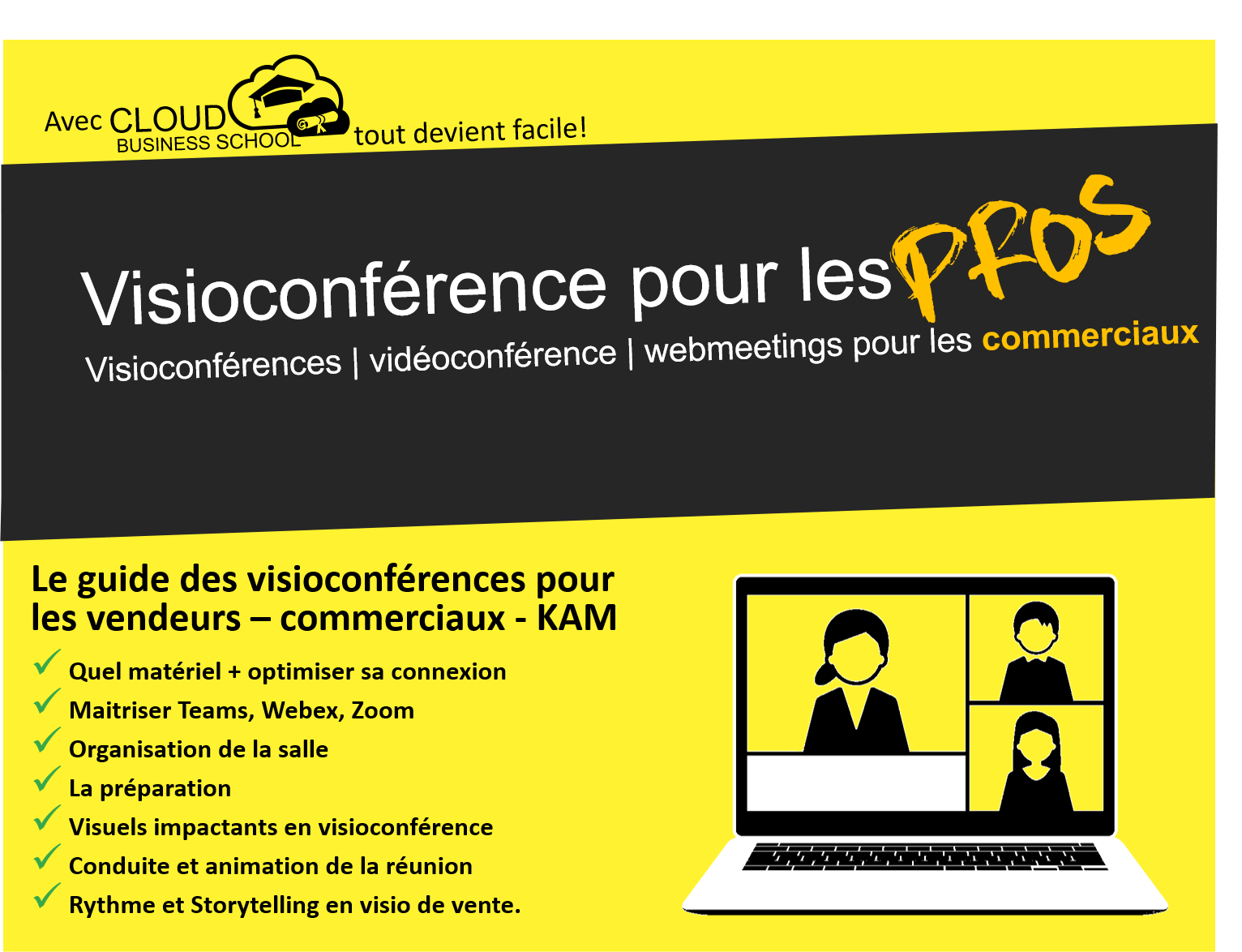Formation visioconférence en vente